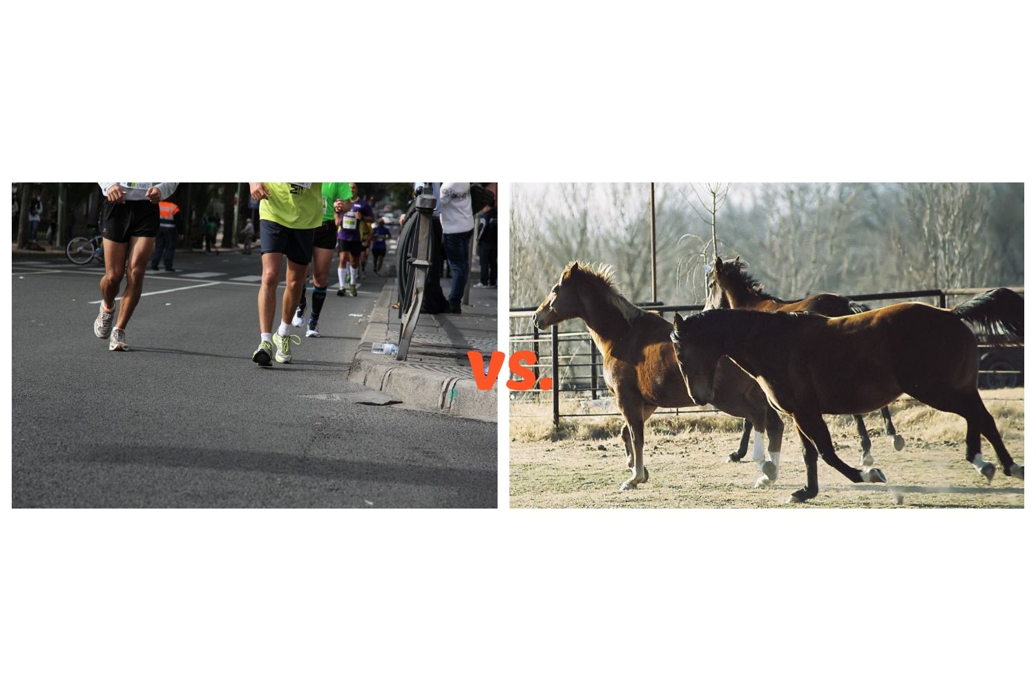 Who Runs Faster, a Person or a Horse?