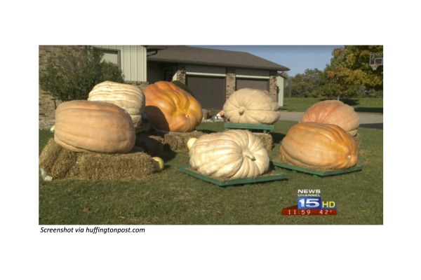1,000-Pound Pumpkin
