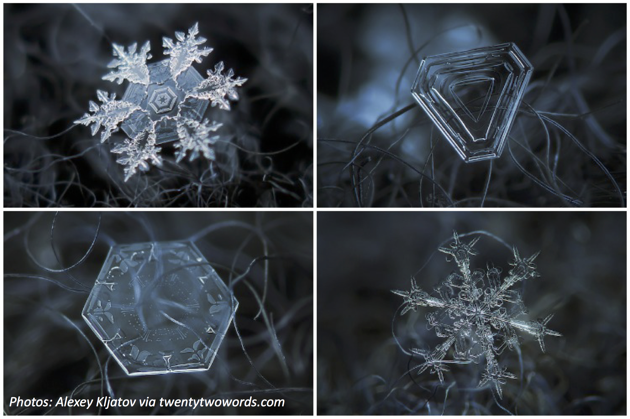 Super-Sized Snowflakes
