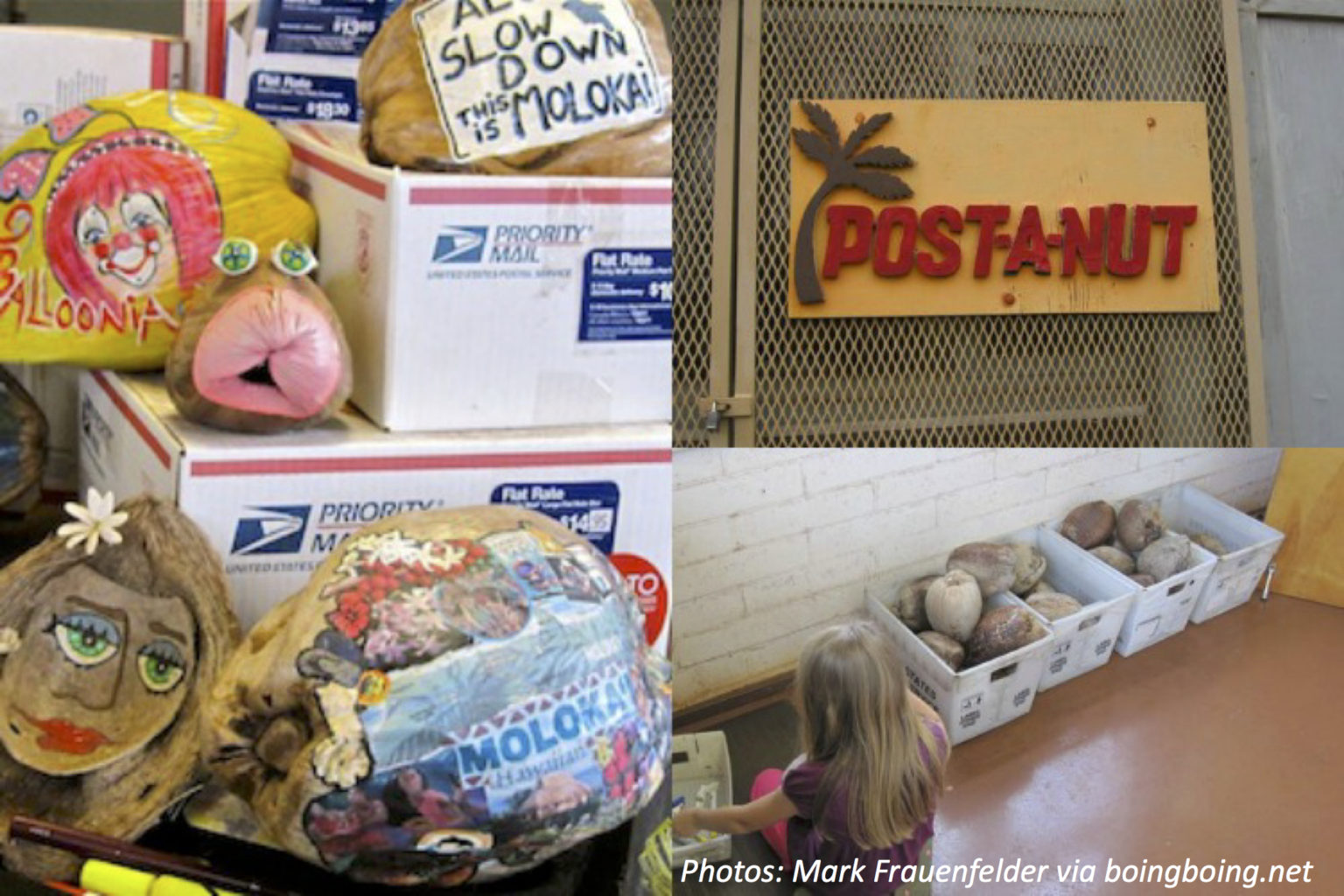 How to Mail a Coconut Bedtime Math