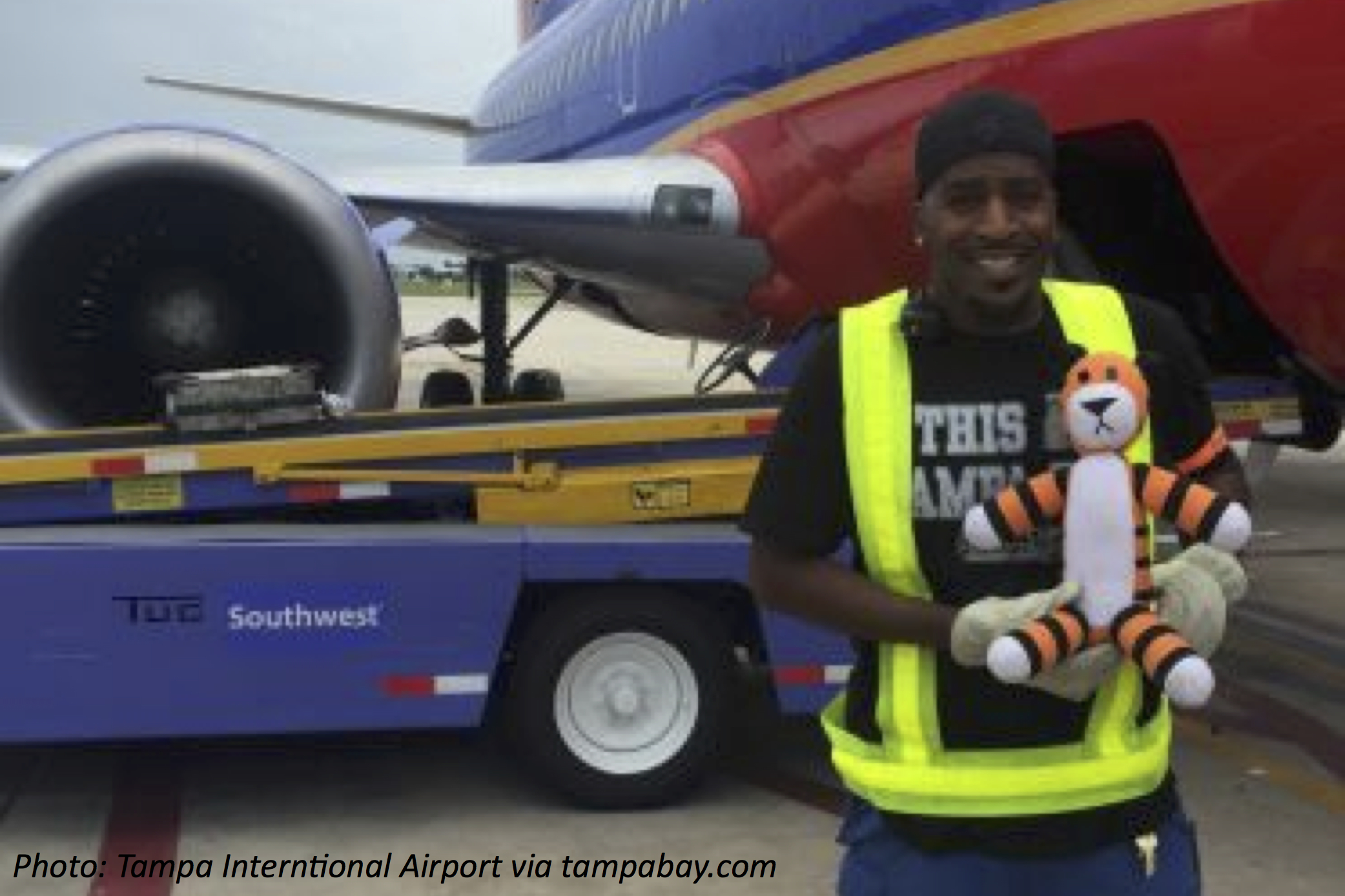Toy Tiger on a Trip