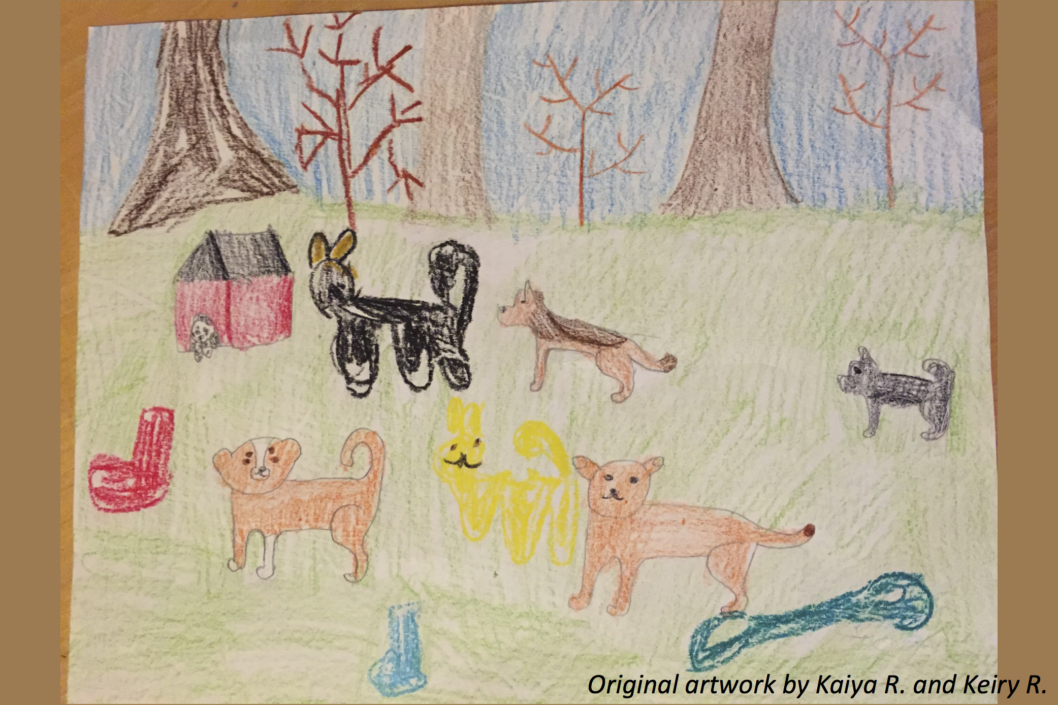 Dogs around the World