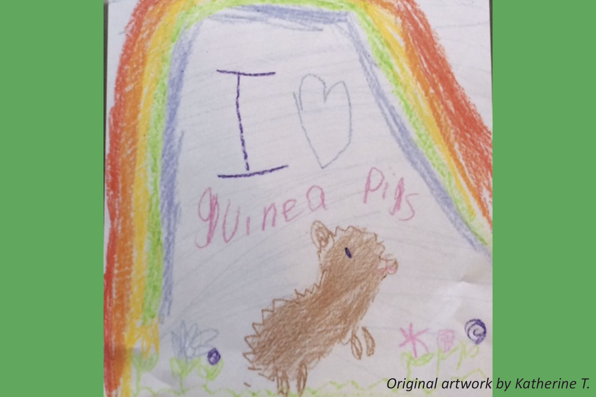 The Greatness of Guinea Pigs