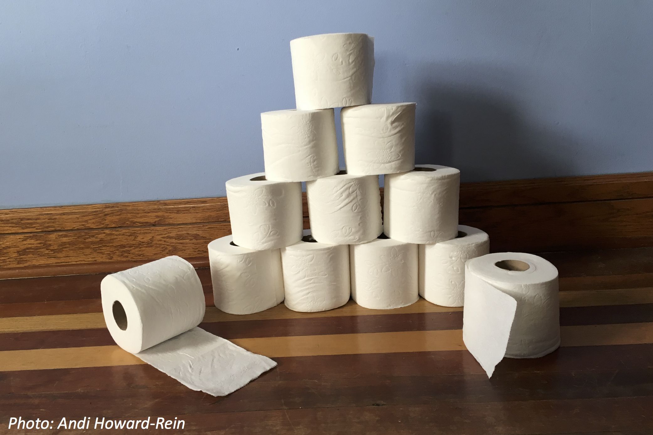 The Truth about Toilet Paper