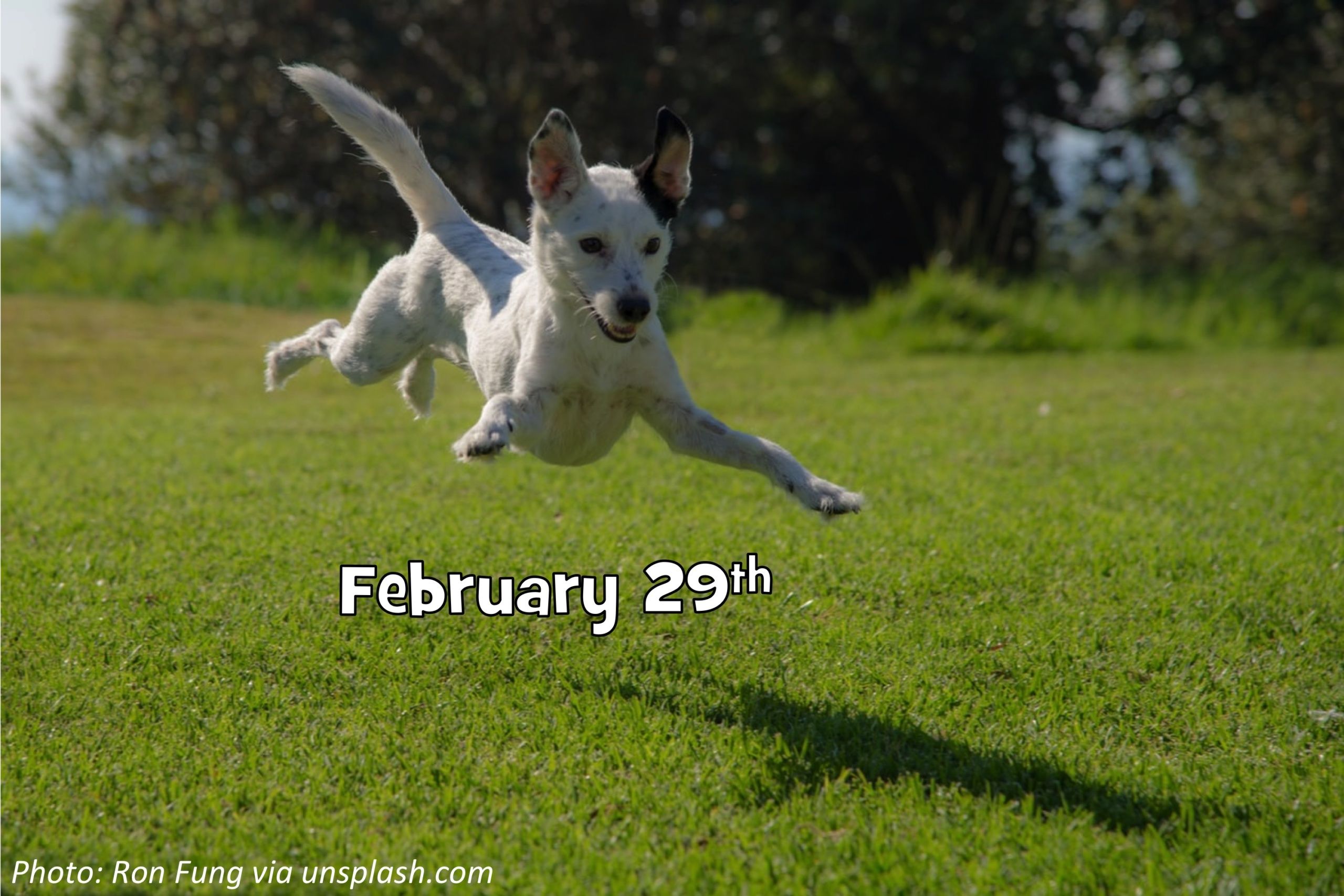 Leap Day!