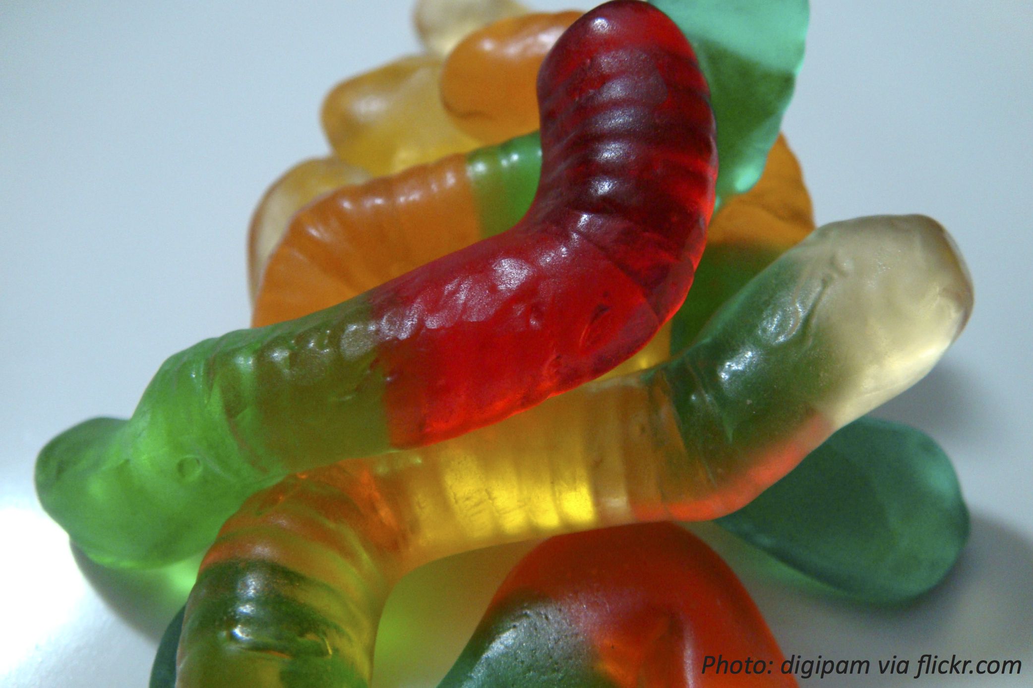 The Right Way to Eat Worms