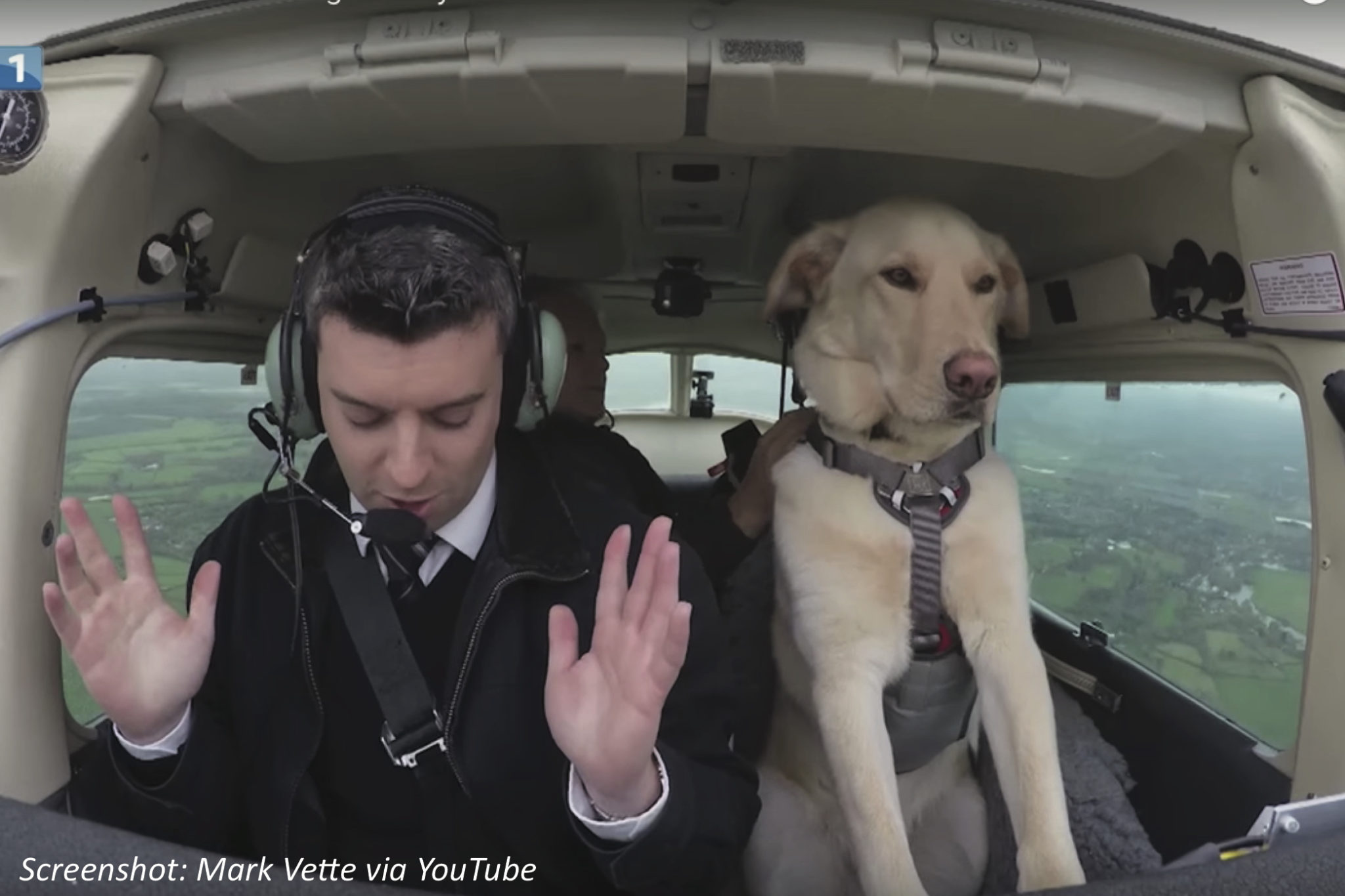 Can Dogs Fly? Bedtime Math