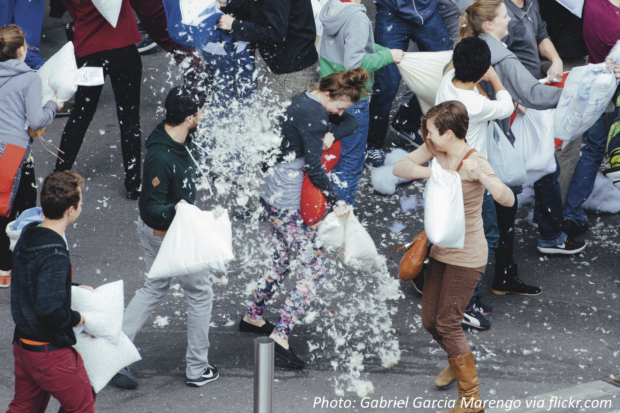 The Great Pillow Fight