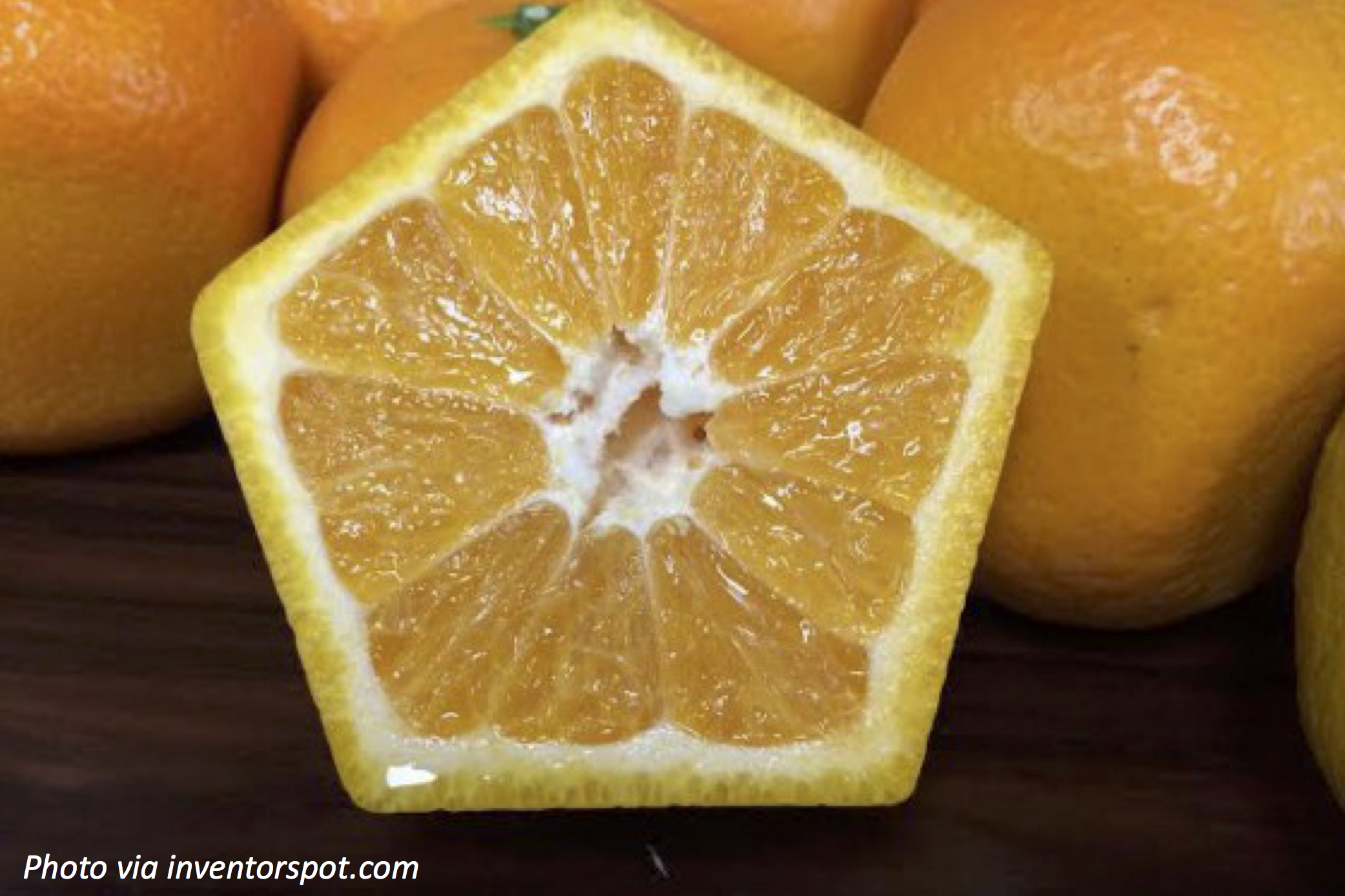 Orange You Glad You’re Not Round?