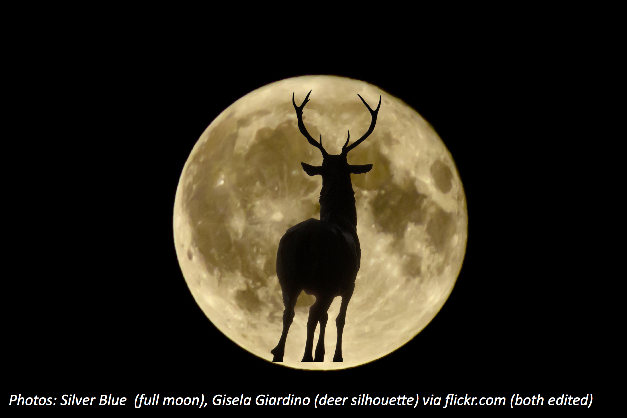 The Buck Moon Stops Here Bedtime Math