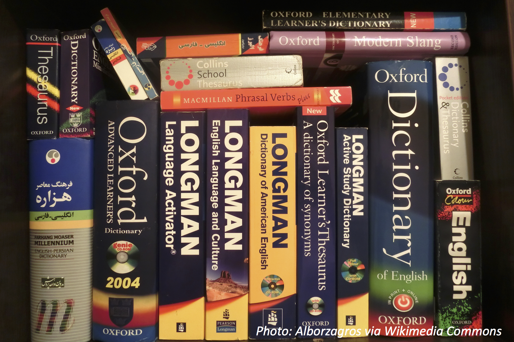 Wild World of Words