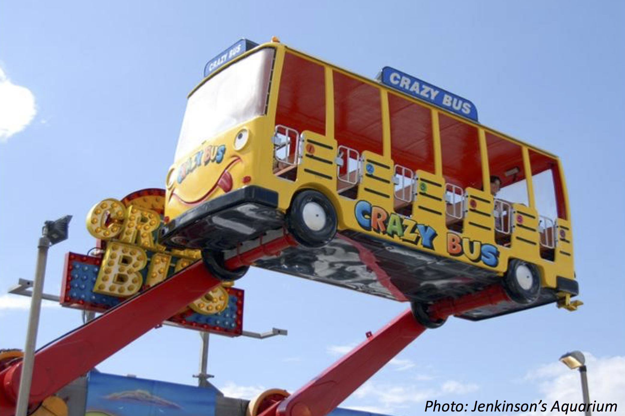 Crazy Bus