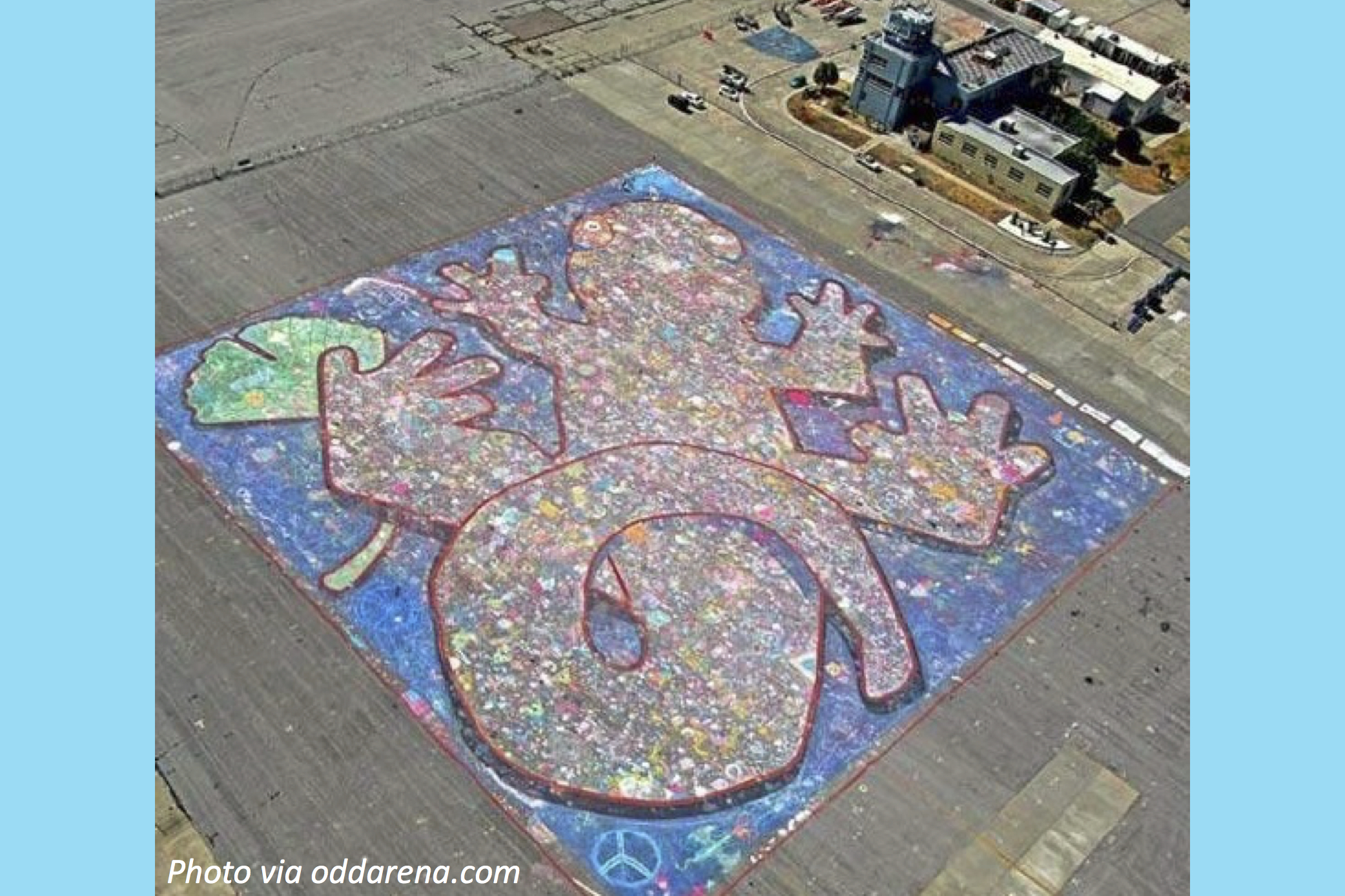 Chalk Art Gone Wild