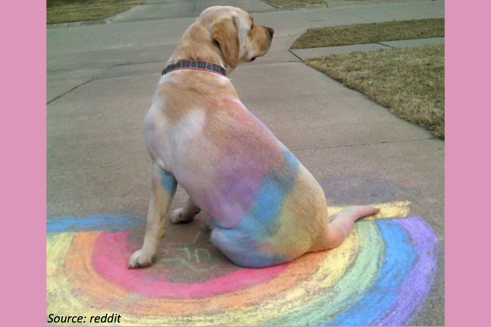 When Rover Gets Rainbowed