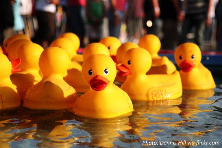When Rubber Duckies Sail the Seas Bedtime Math