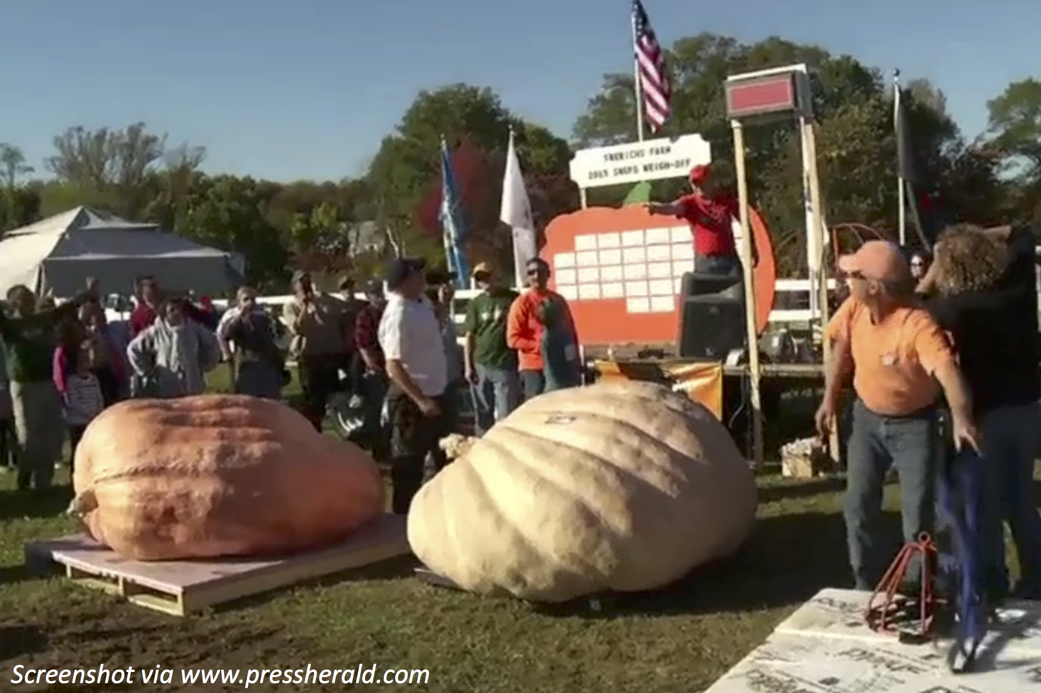 Growing the Great Pumpkin