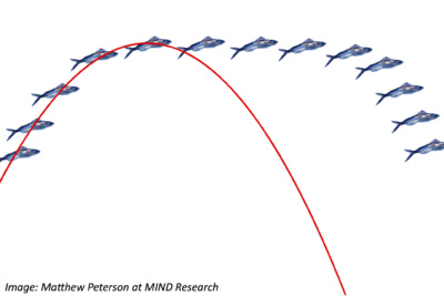 Do Flying Fish Actually Fly?  A Moment of Science - Indiana