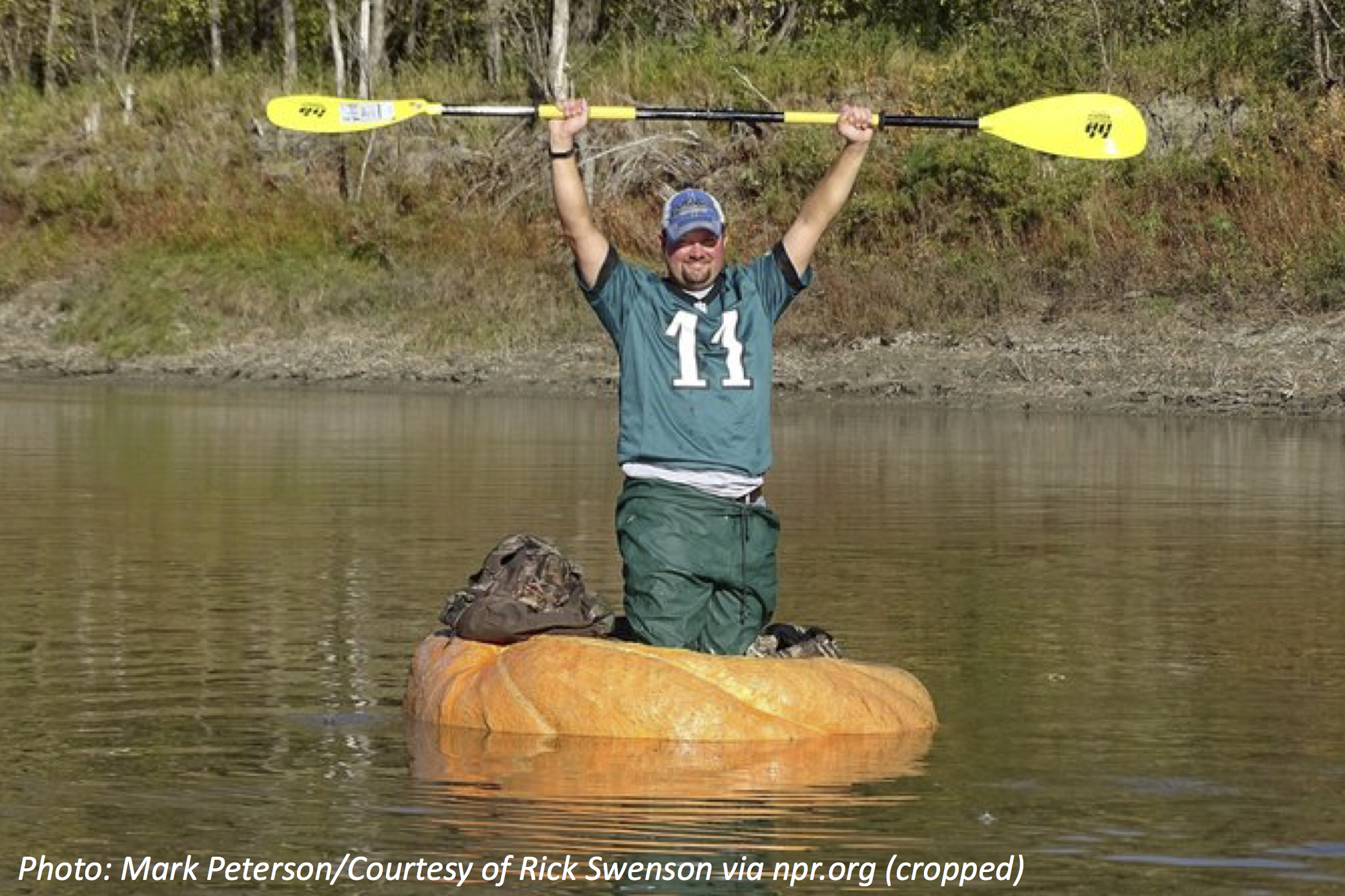 Row, Row, Row Your Pumpkin