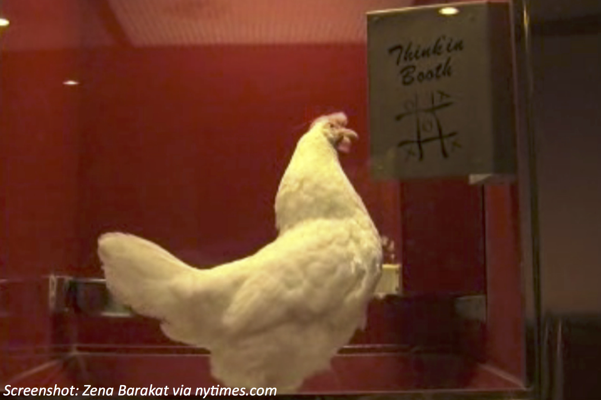 Chick-Tac-Toe