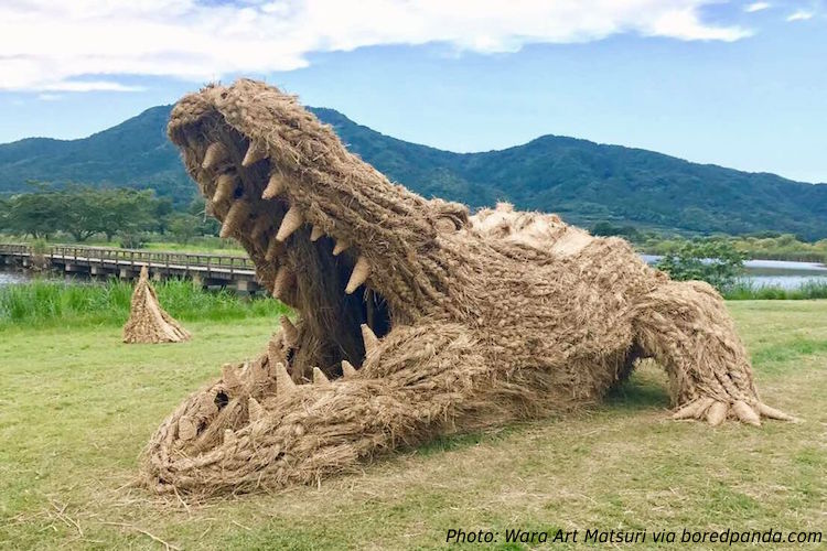 The Straw That Broke the Gator’s Back