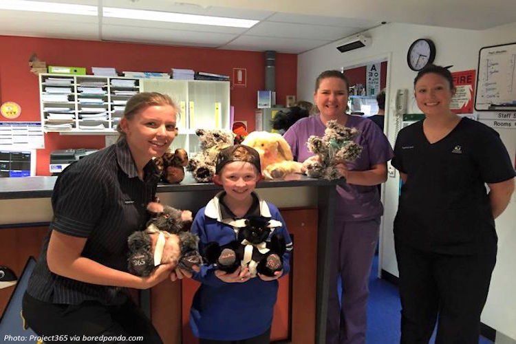 A Teddy a Day Keeps the Doctor Away