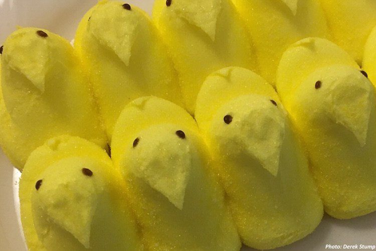 Taking a Peep at Easter