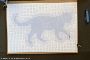 A cat drawn with one Hilbert curve