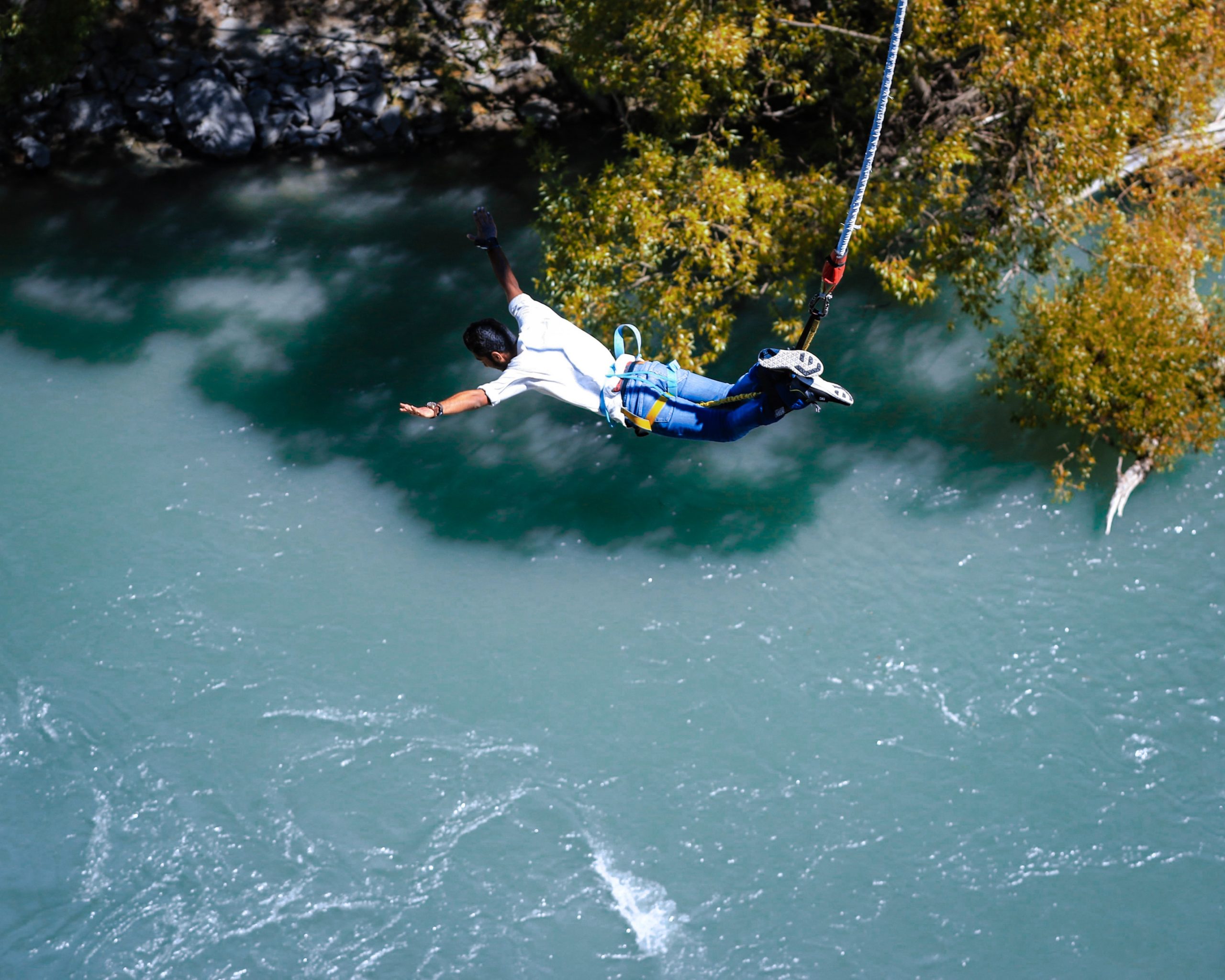 The Bungee Dunker