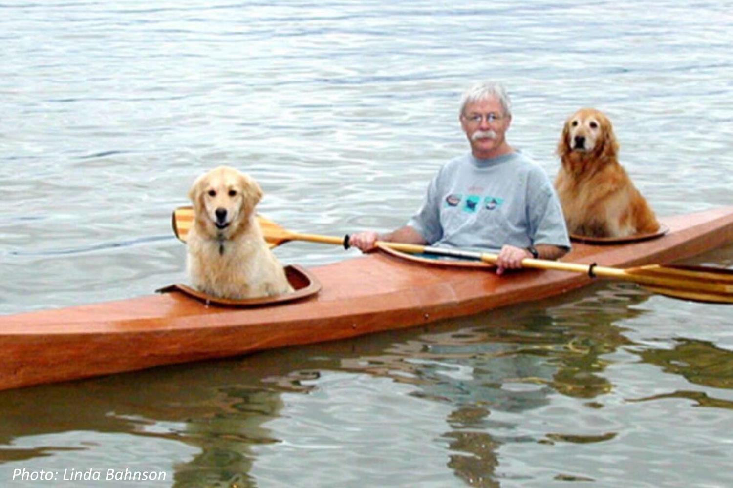 A New Kind of Doggie Paddle