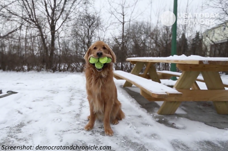 A Mouthful of a World Record