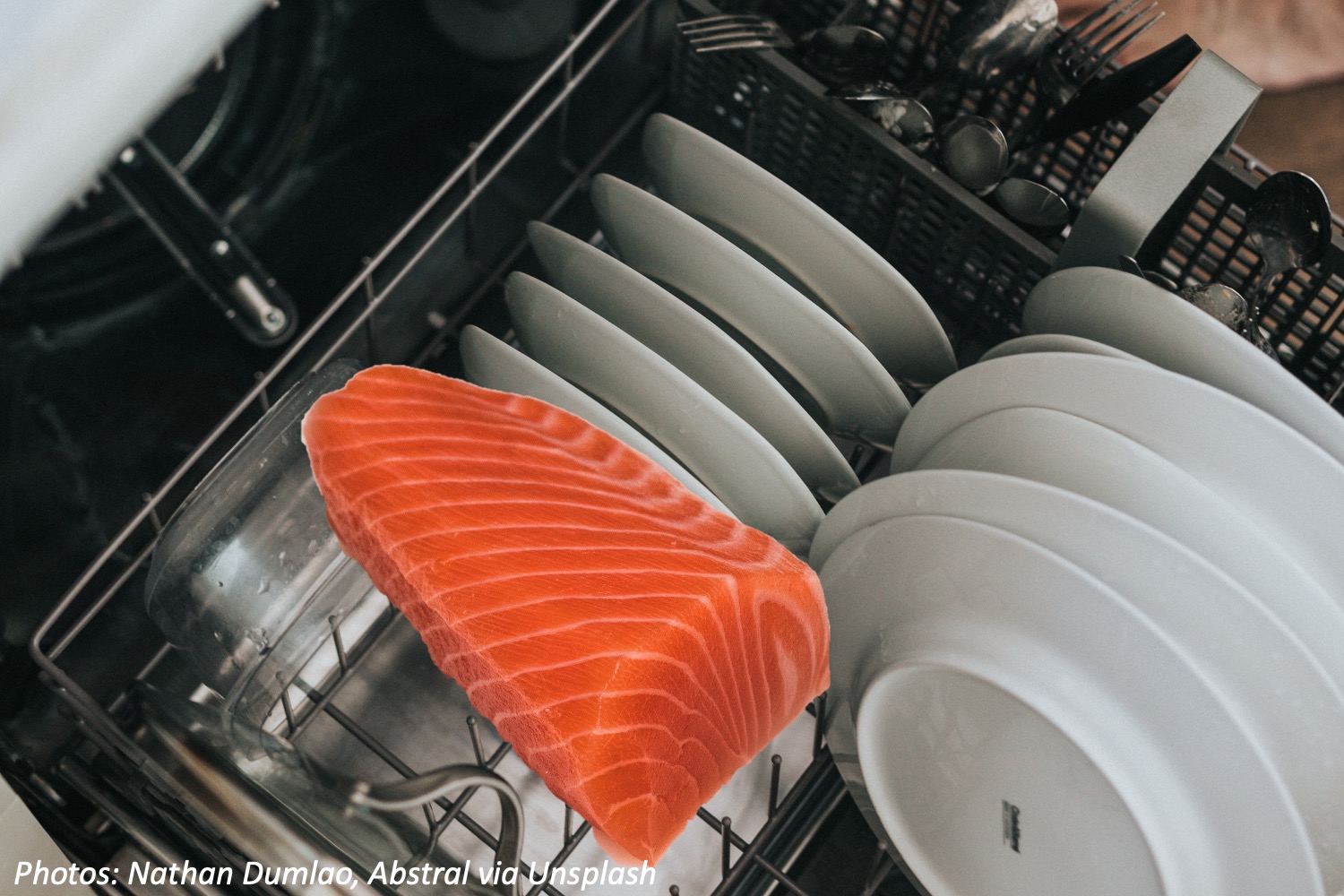 From Dishwasher to Fishwasher