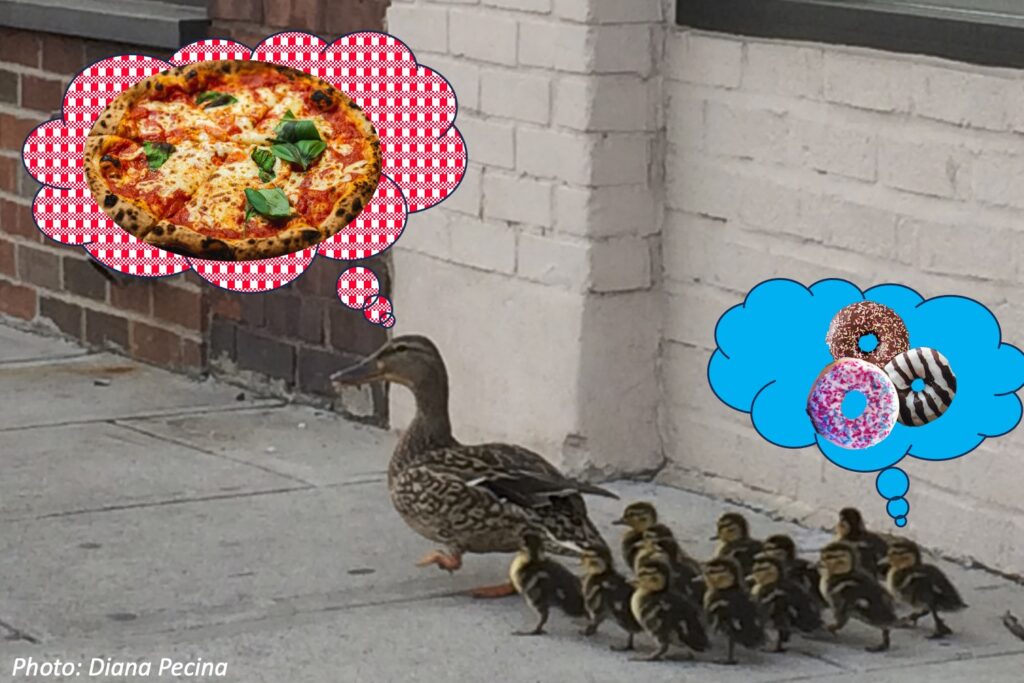 Ducks Who Like Pizza Bedtime Math