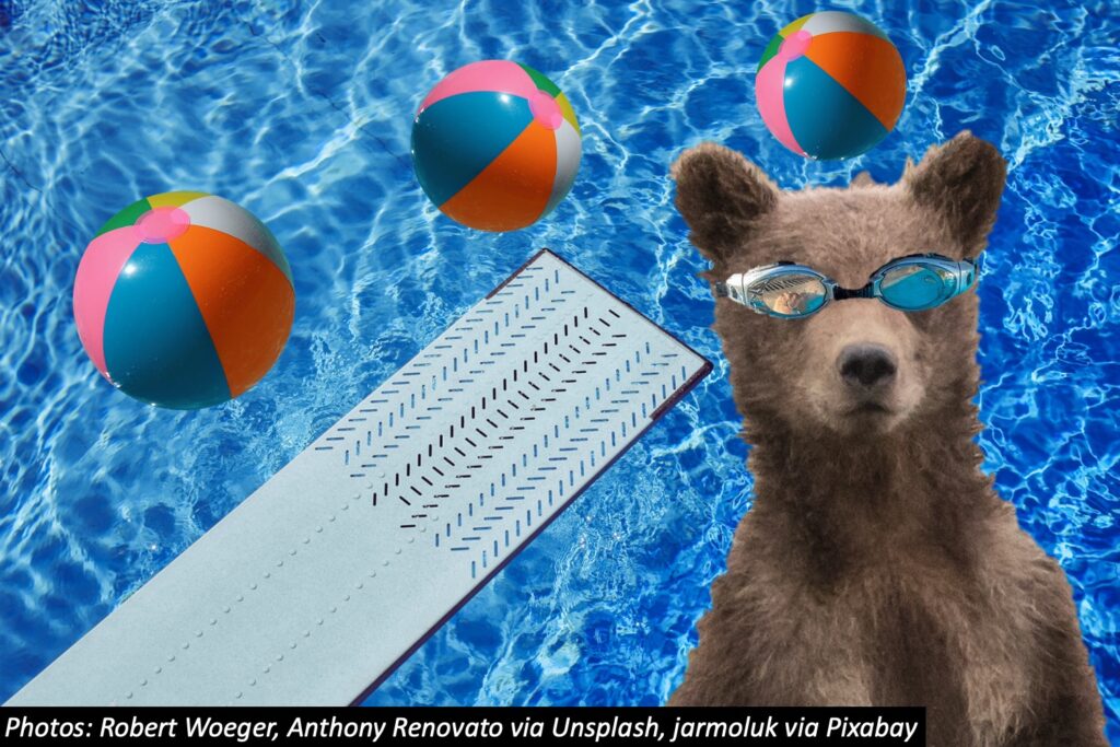 Bears In The Backyard Pool – Bedtime Math