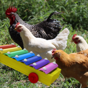chickens xylophone carousel image